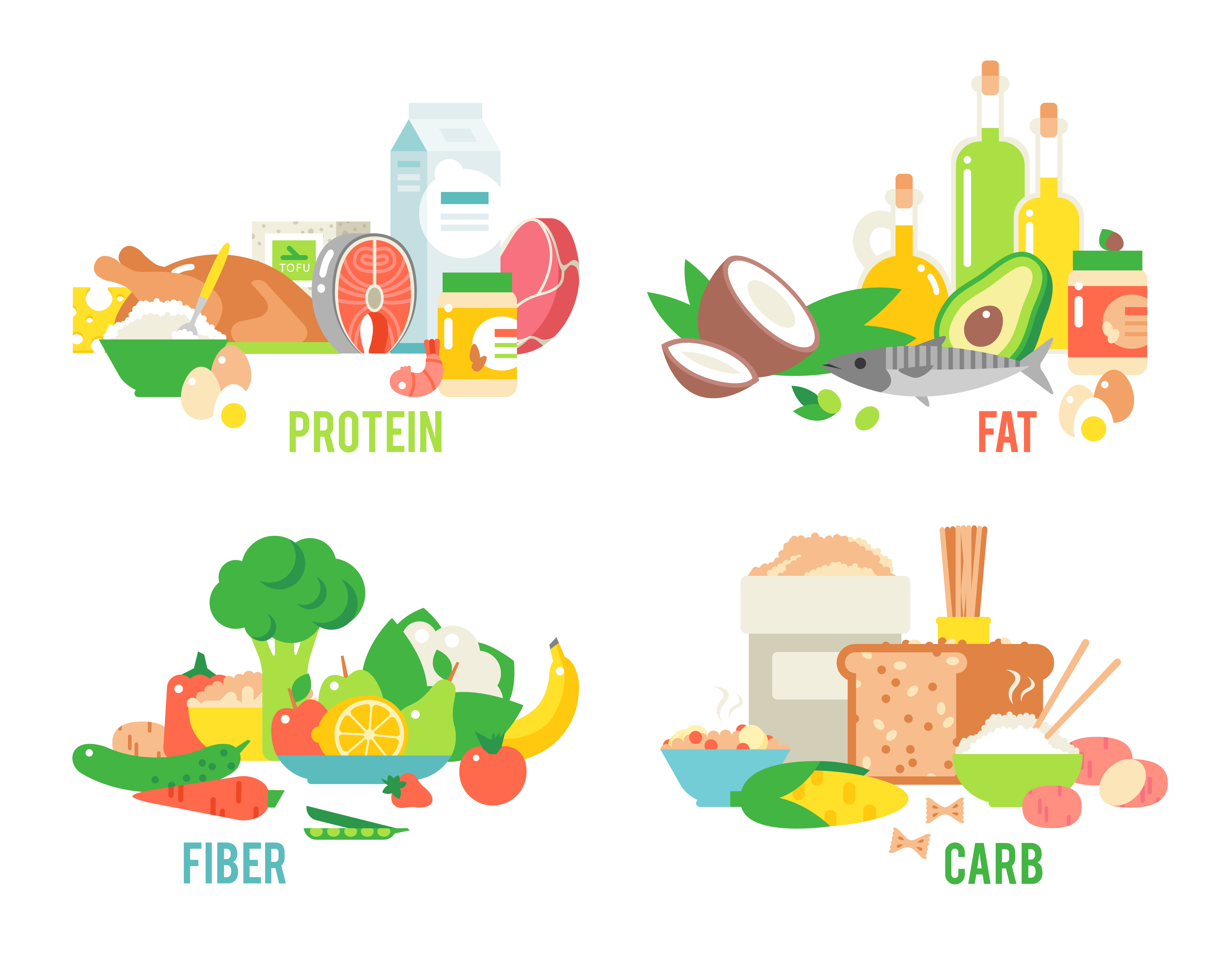 Food sources vector set | Food Illustrations ~ Creative Market