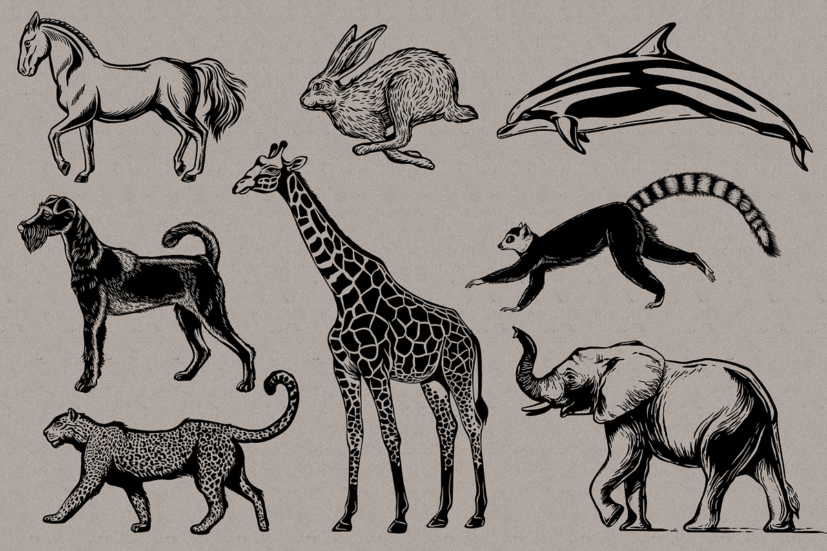 Linocut Zoo, Animal illustrations, an Animal Illustration by Garden in frame (Photo 5 of 7)