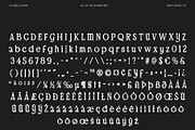 CS Gisele Stamp, a Serif Font by Craft Supply Co. (Thumbnail 8 of 8)