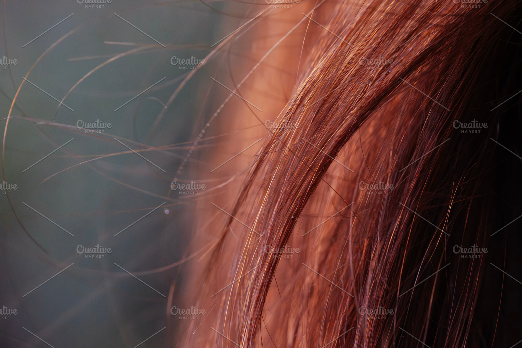 Close-up view of silky brown hair strands in soft light, a Nature Photo by OSORIOartist