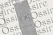 Belarose - Modern Elegant Serif, a Serif Font by Qweera Studio (Thumbnail 4 of 12)