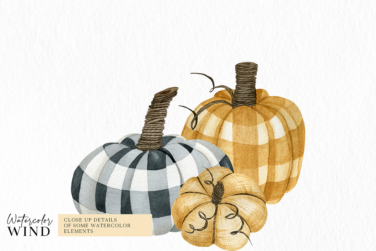 Checkered fall pumpkin clipart -30%, an Illustration by Ksenia Shmakova