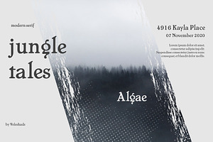 Algae Modern Serif Font