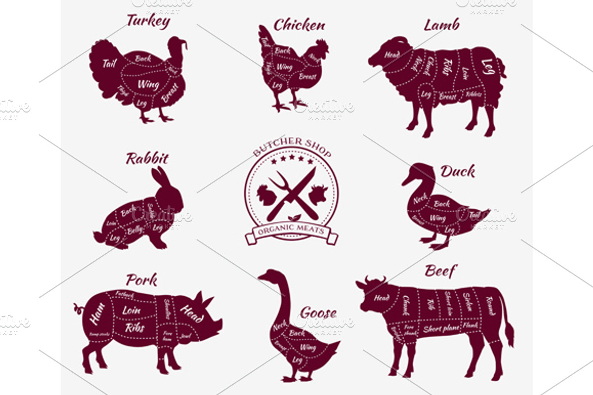 Schematic Vew of Animals for Butcher, an Animal Illustration by robuart
