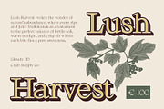 Gloudy 3D, a Serif Font by Craft Supply Co. (Thumbnail 4 of 8)
