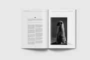 Pure Magazine Template, a Magazine Template by Uloel Design (Thumbnail 10 of 12)