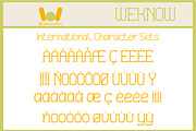 Everything Perfect font, a Serif Font by weknow (Thumbnail 8 of 8)