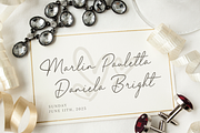 Elegant Lady, a Script Font by Sronstudio (Thumbnail 4 of 13)