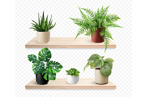 Realistic houseplants shelves. House, an Object Illustration by Stock-Smart-Start