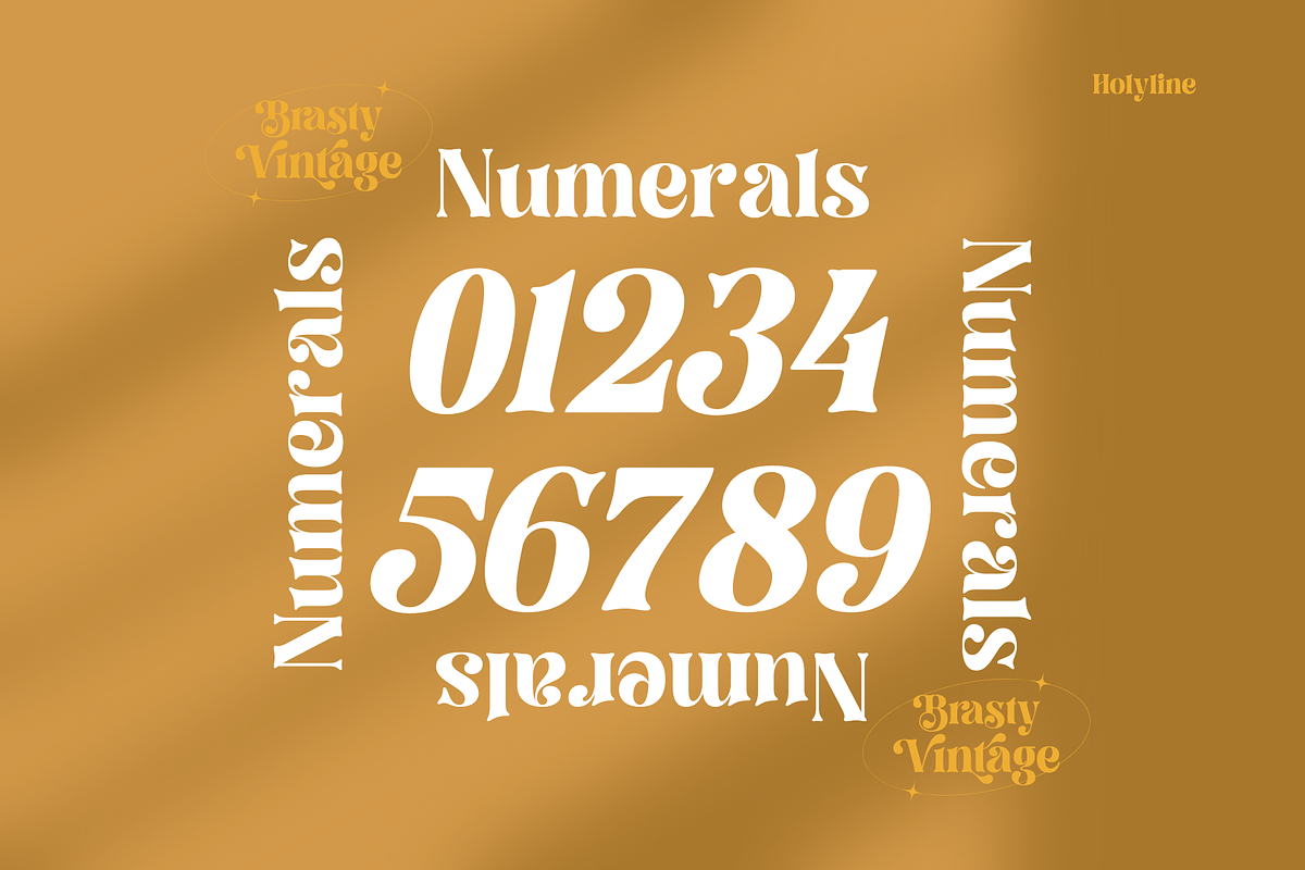 Brasty Vintage - Retro Serif Font, a Serif Font by Holyline Design (Photo 12 of 16)