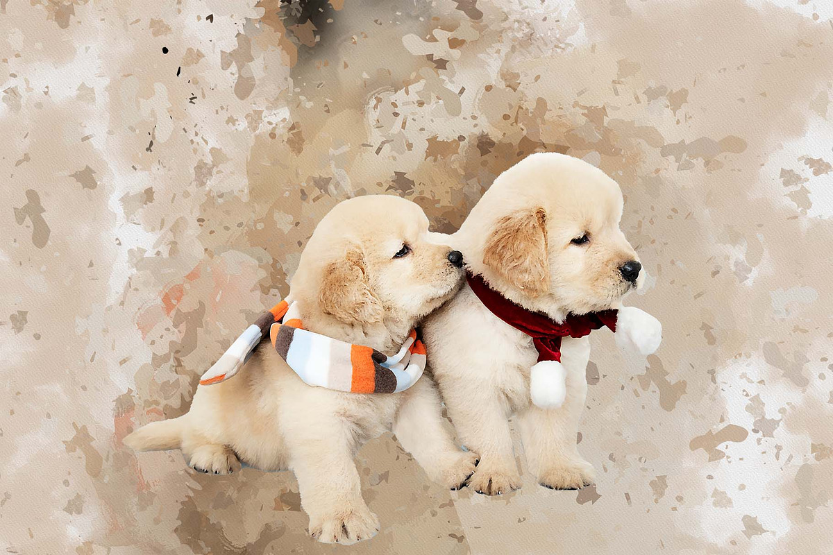 Personalized Digital Pet Portraits, an Action Add-On by MRI STUDIO (Photo 9 of 13)