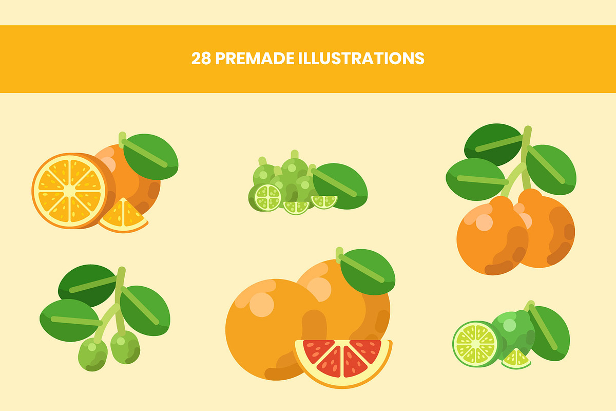 Citrus Fruit Illustrations Set, a Food Illustration by DailyYouth (Photo 4 of 5)
