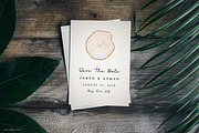 Timber Tree Vector Illustrations, an Object Illustration by Fire Spark Studio (Thumbnail 7 of 7)