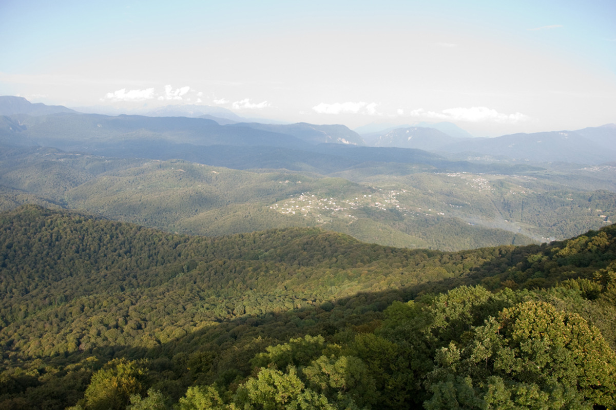 Mountain View, forested. preview 7