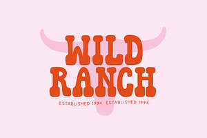 Howdy Honey Retro Western Font