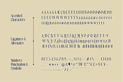 Starlight Rune: A Magical Typeface, a Serif Font by Helotype (Thumbnail 4 of 8)