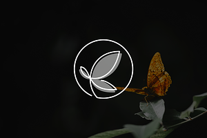 Aesthetic Butterfly Beauty Logo