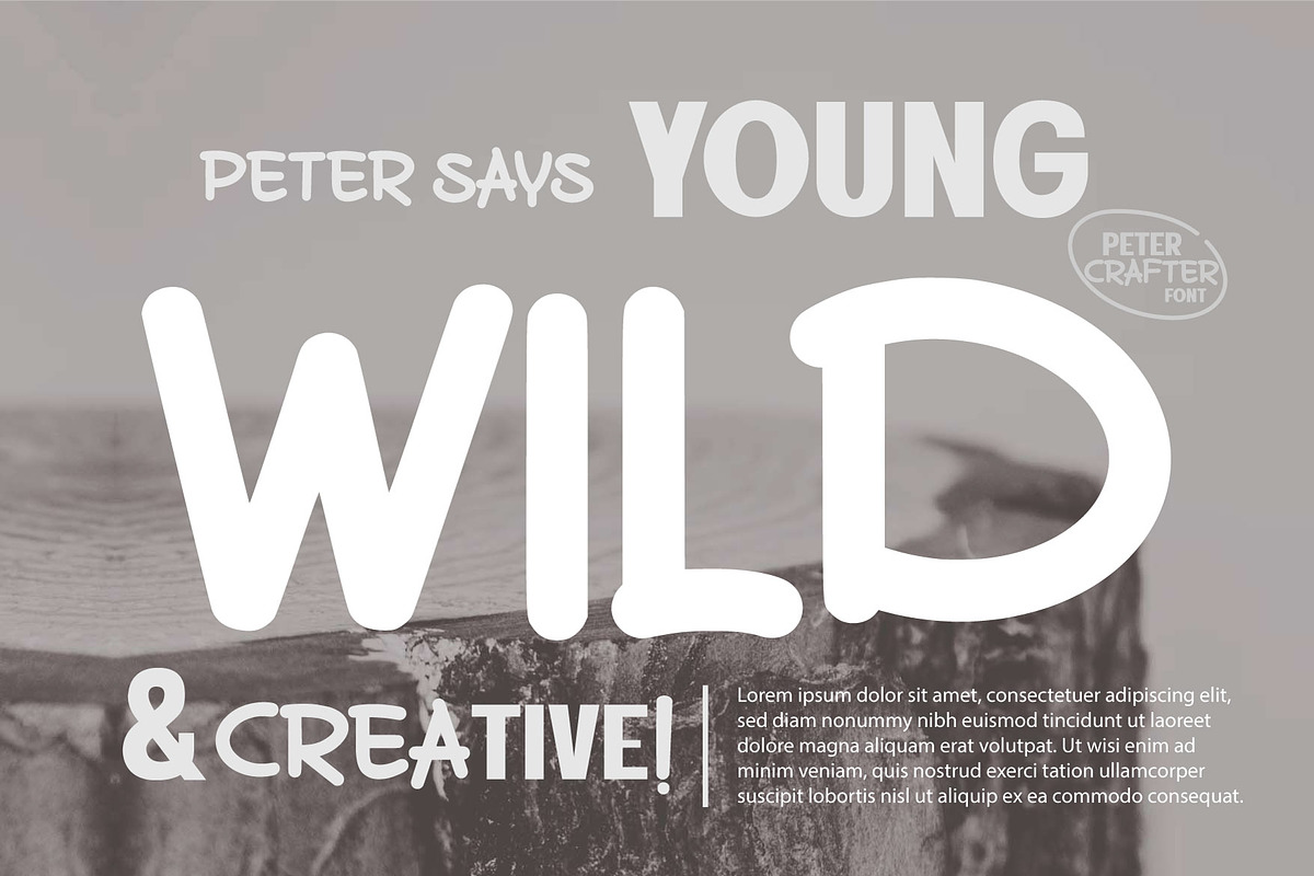 Peter Crafter a Font Duo, a Sans Serif Font by Rasiorise Studio (Photo 2 of 12)