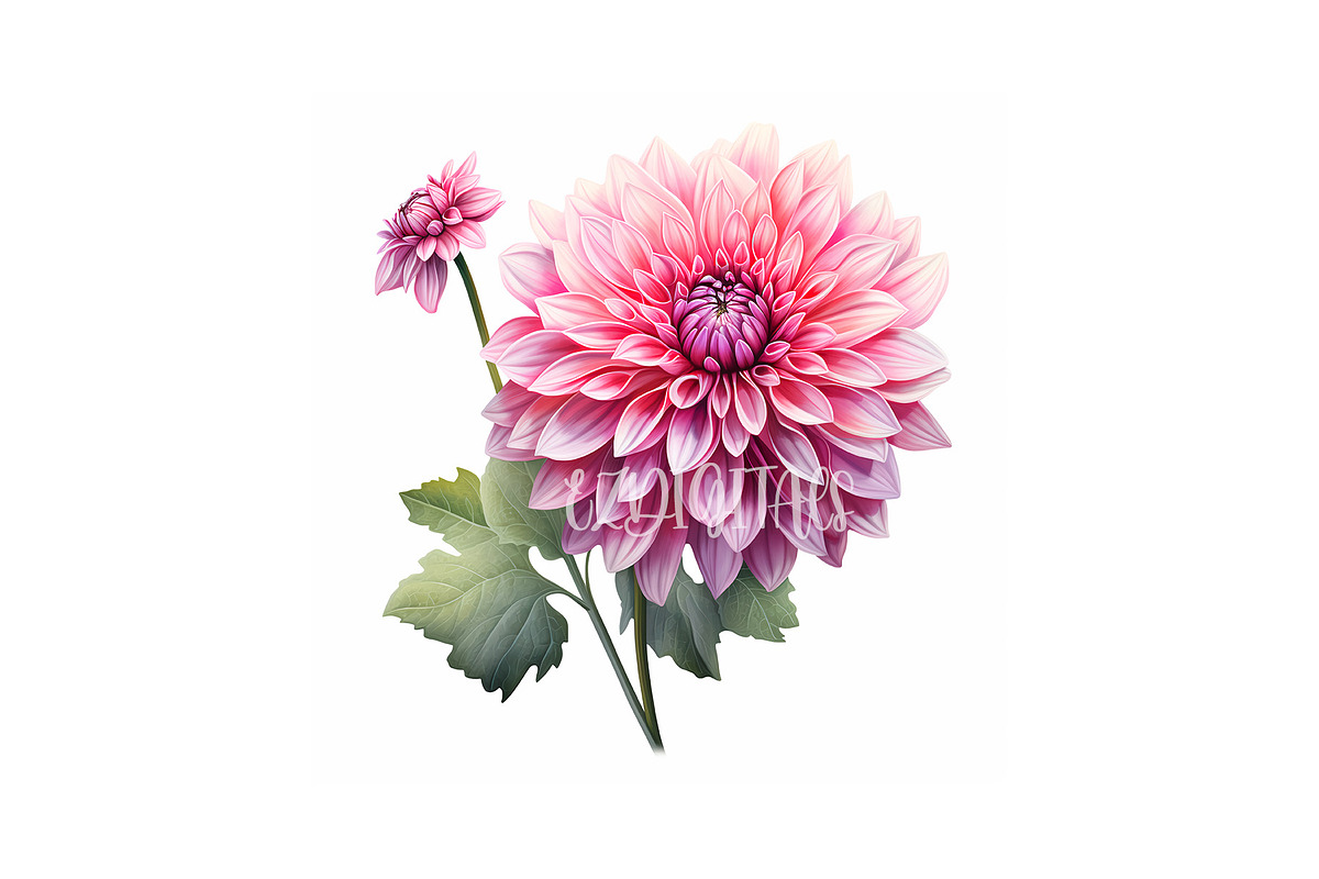 Dahlia Flower and Butterfly Clipart, an Object Graphic by EzDigitals (Photo 8 of 8)