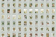 230 Sage Green Stock Images Bundle, a Beauty & Fashion Photo by Allure Art (Thumbnail 32 of 33)