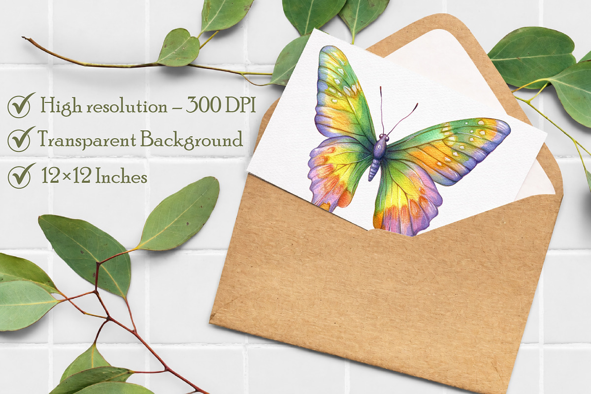 Watercolor Butterfly Clipart, an Illustration by Libby Wishes (Photo 4 of 7)