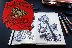 Hand Sketched Vegetables vector