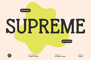 CS Wagner Drawn, a Serif Font by Craft Supply Co. (Thumbnail 4 of 8)