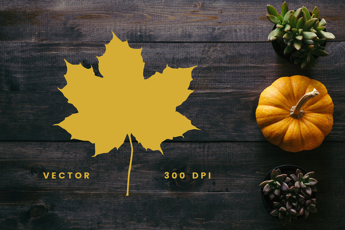 Autumn Leaf Silhouettes + Bonus, an Object Graphic by Build Interactive (Photo 2 of 4)