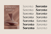 Sorento | Font Family, a Sans Serif Font by Larin Type Co. (Thumbnail 3 of 15)