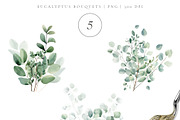 Eucalyptus Watercolor Collection, an Object Illustration by Pati Paints (Thumbnail 8 of 11)