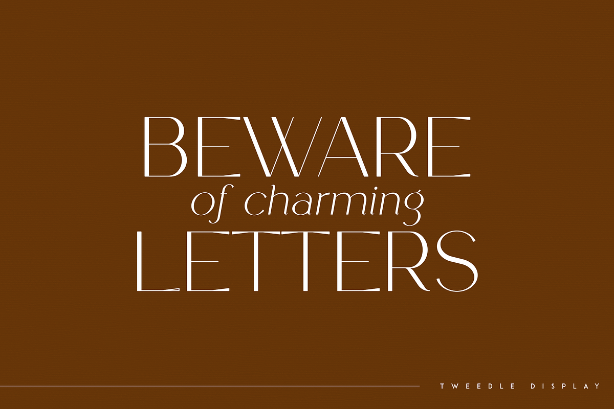 SALE! Font Bundle Vol.3 - 30 fonts, a Serif Font by Only Fonts (Photo 32 of 35)
