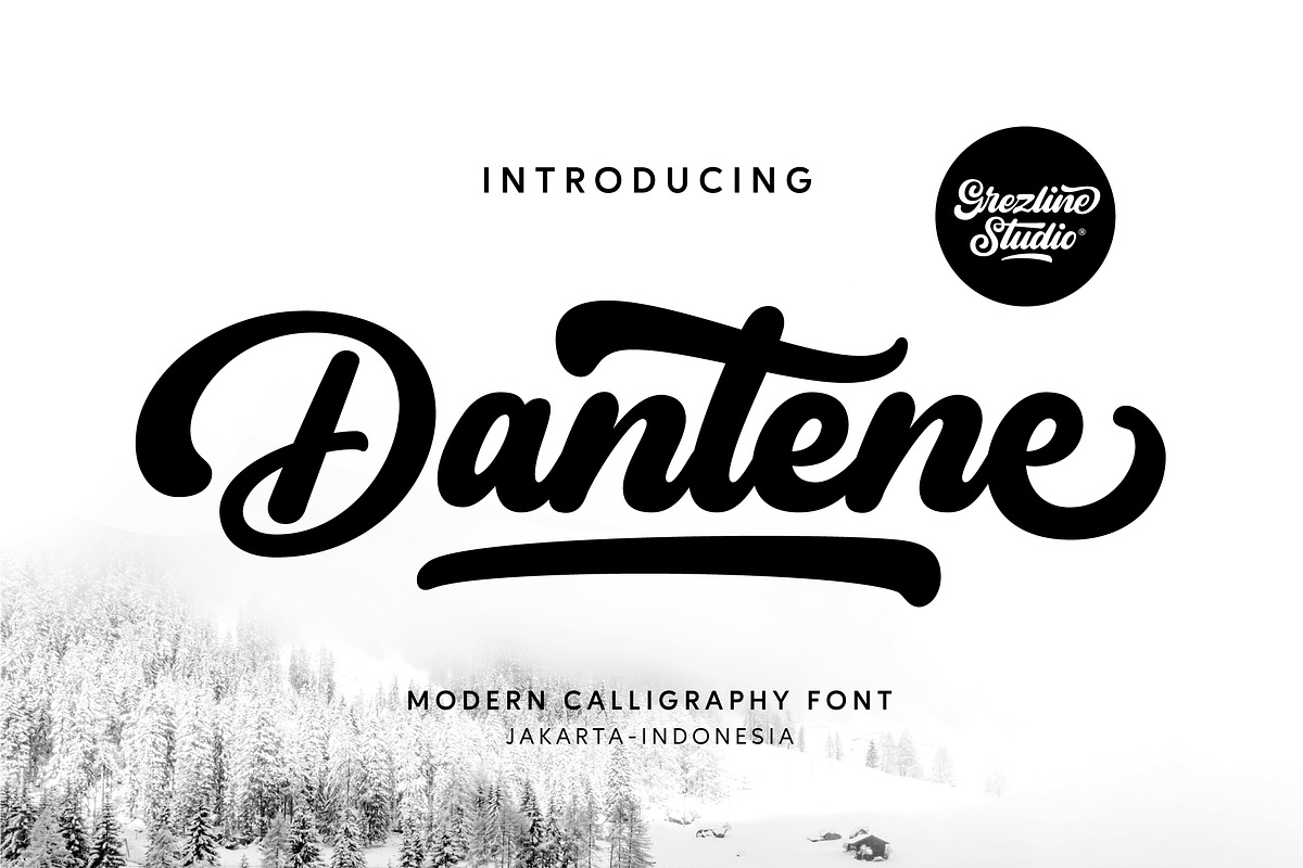 Dantene - Modern Calligraphy Font, a Font by Grezline Studio (Photo 1 of 13)