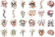 Watercolor Floral Anatomy Clipart, a Seasonal Illustration by designcity5 (Thumbnail 2 of 5)