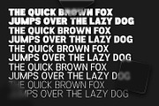 Selima, a Sans Serif Font by din-studio.com (Thumbnail 13 of 14)