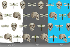 Skull Collection / Pattern Design