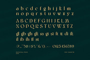 Riglom Elegant Sans Serif Font, a Sans Serif Font by Graphicxell (Thumbnail 8 of 8)