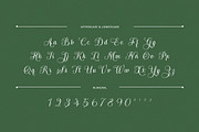 Arachis – Elegant & Modern Script, a Script Font by Almeera Std (Thumbnail 9 of 10)