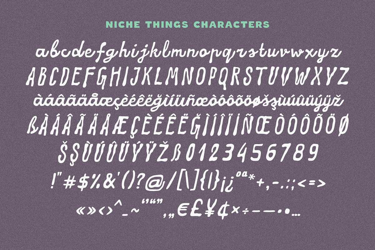 NicheThings Messy Handwritten Script, a Script Font by Struvictory.art (Photo 5 of 9)