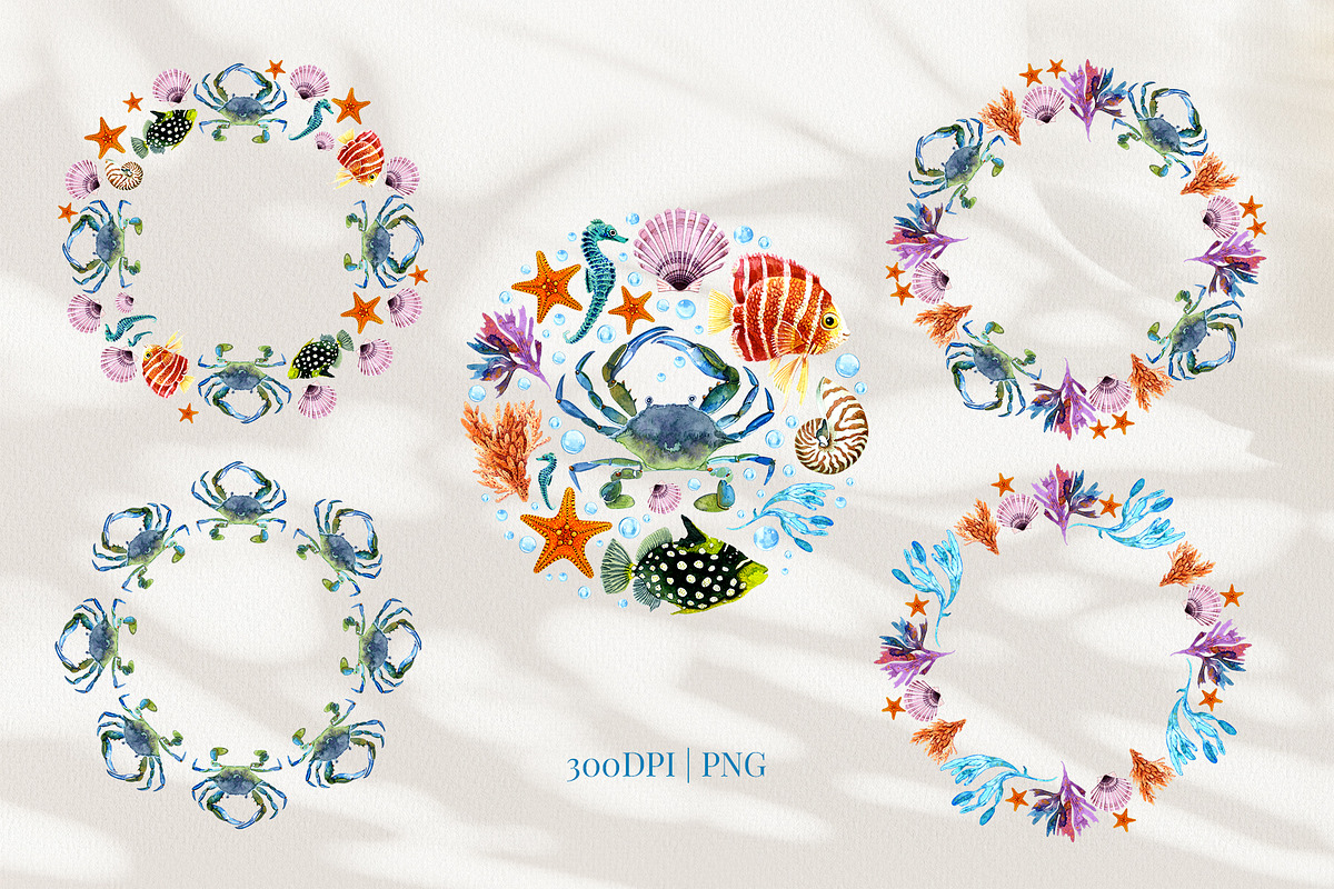 Marine Watercolor Clipart, an Animal Illustration by YarovaArt (Photo 17 of 19)