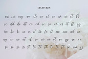 Script font Diamond Crystal, a Script Font by Almazova Dolzhenko (Thumbnail 3 of 11)
