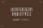 Carbon - Modern Serif Font, a Serif Font by Luna Shop (Thumbnail 5 of 6)