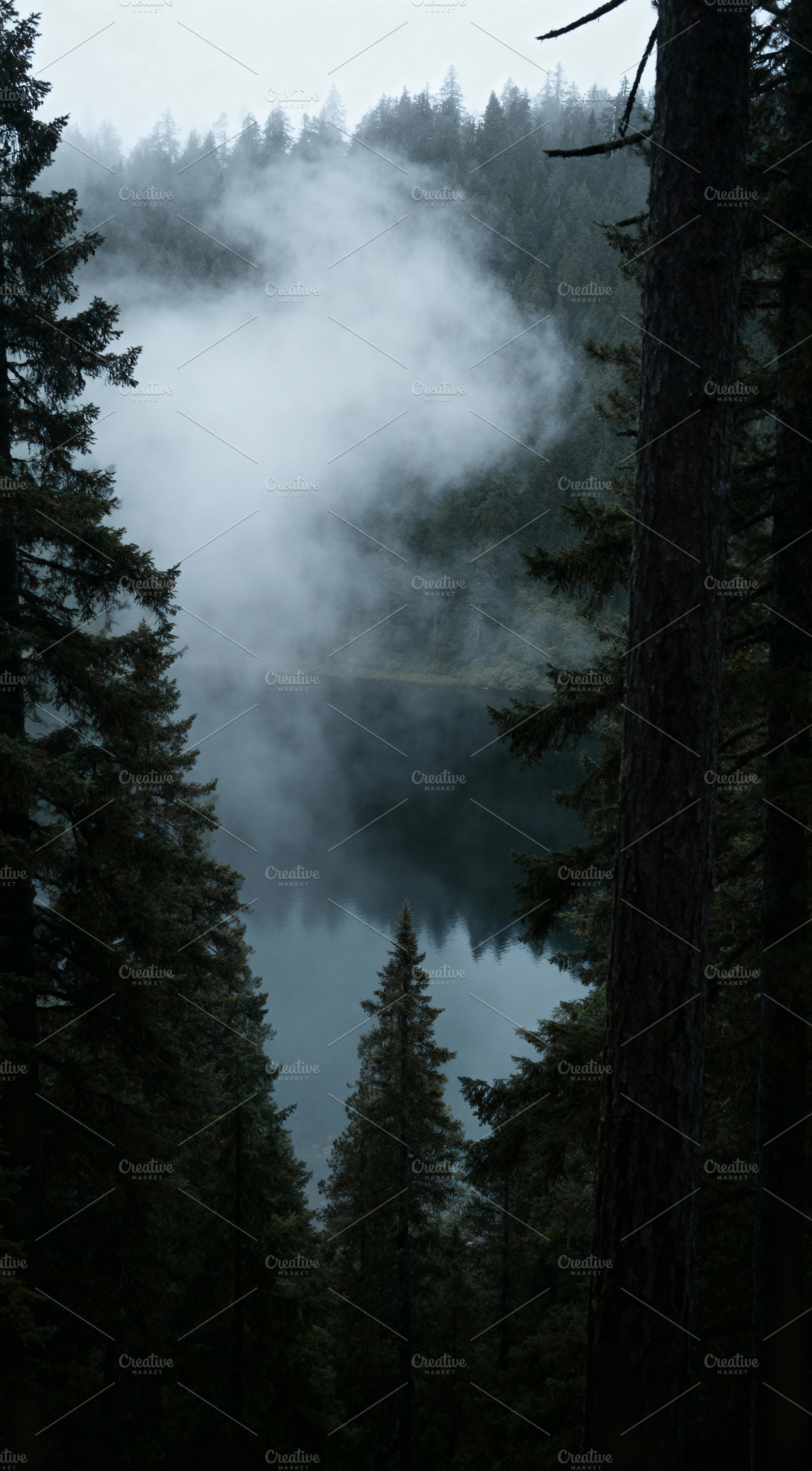 Ethereal Mystical Forest Lake, a Nature Photo by Virgo Studio