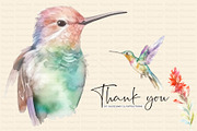 Watercolor Hummingbird and Flowers, an Animal Illustration by Dazzling Art Boutique (Thumbnail 8 of 8)