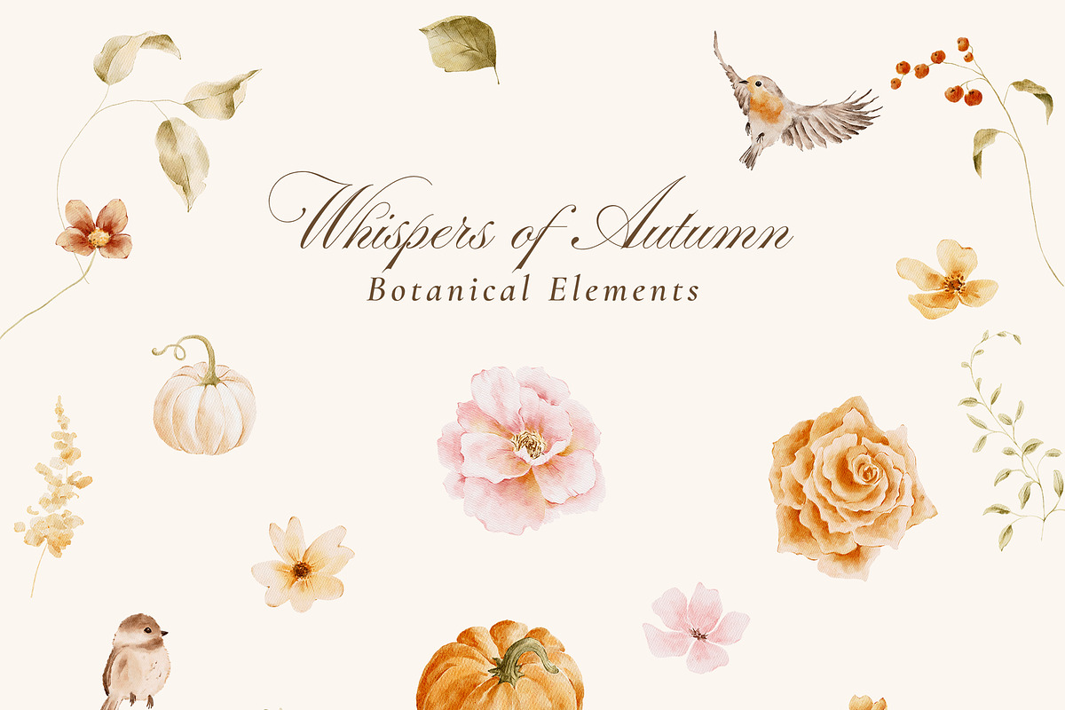 Autumn Watercolor Florals & Pumpkins, a Seasonal Illustration by Altea Design Studio (Photo 15 of 21)