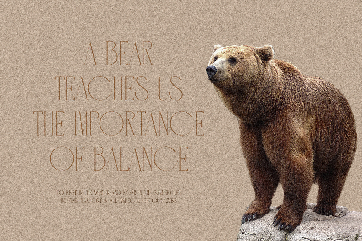 Clover Elegant Serif Font, a Serif Font by Perfectype (Photo 3 of 10)