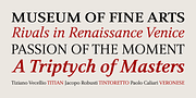 Narration, a Serif Font by PESIC (Thumbnail 8 of 8)