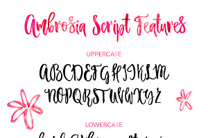 Ambrosia Script