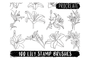 Lily Procreate Stamp Brushes