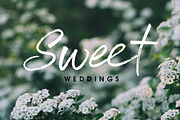 Serial Catch Font, a Script Font by Creativeqube Design (Thumbnail 13 of 22)