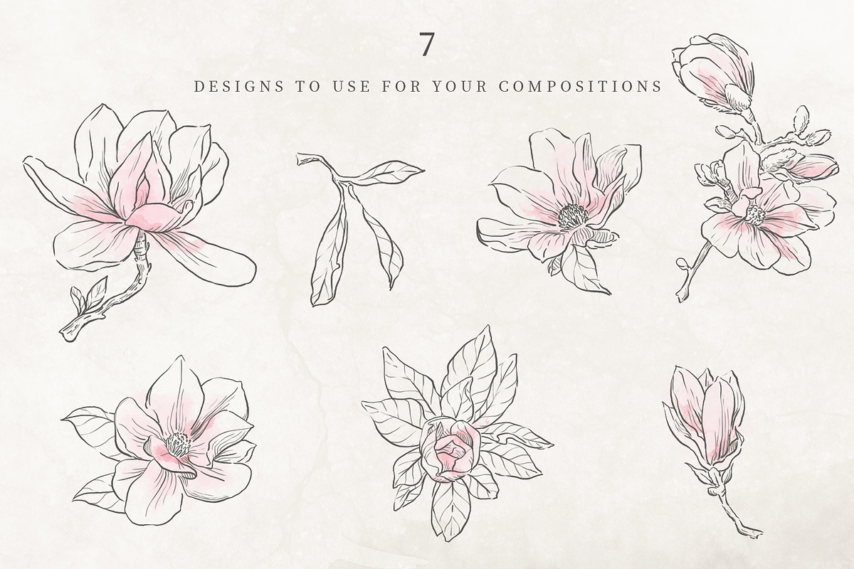 Wedding idea, Magnolia Collection, an Illustration by Bee_in_a_Nest (Photo 1 of 4)